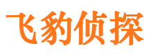 明山市私家侦探